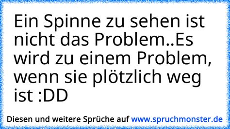 Ein Spinne Zu Sehen Ist Nicht Das Problem Es Wird Zu Einem Problem