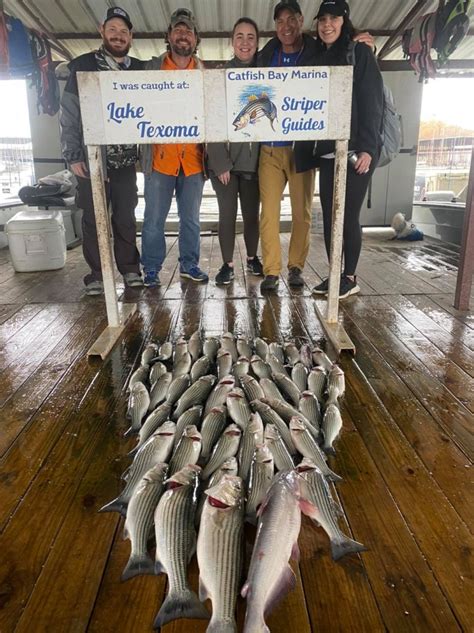 Lake Texoma - Striped Bass Action at Lake Texoma