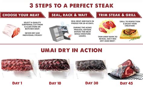 Amazon Umai Dry Sampler Packet Dry Age Bags For Meat Simple At