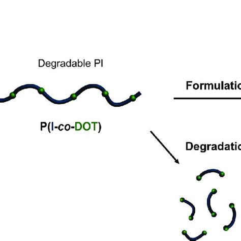 Synthesis Of Degradable Vinyl Polymer Nanoparticles Via Radical Ring