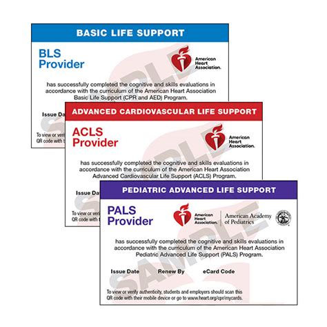 What Is Acls And Pals