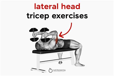 Triceps Exercises Chart For Men