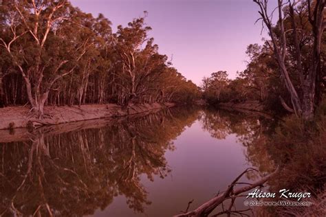 Murrumbidgee River | 4WDAUS