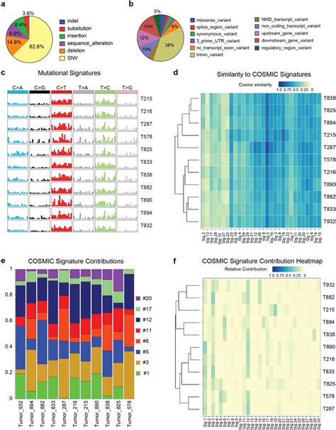 Tumors In Sko Mice Show Mutational Signatures Consistent With Defects