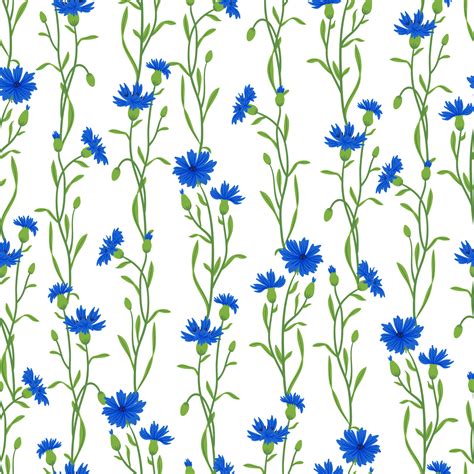 Cornflower Field Vector Seamless Pattern Summer Wild Meadow Flower