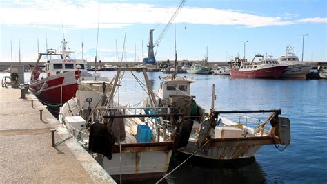 Pesca D Arrossegament Els Pescadors Al Mediterrani Podran Feinejar