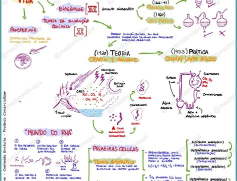 Biologia Origem Da Vida Mind Maps Mapa Mental Teoria Das Cordas