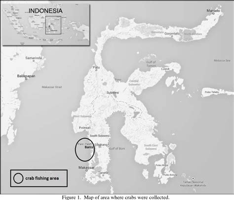 Figure 1 from Habitat Preferences of Blue Swimming Crab (Portunus ...