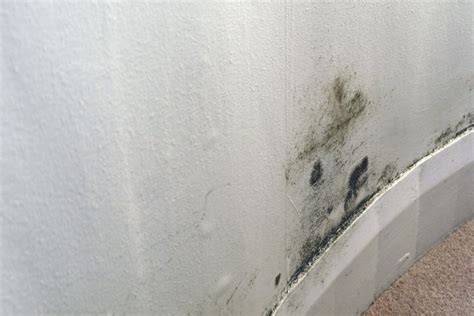 How To Get Rid Of Black Mold On Walls Permanently - Wall Design Ideas