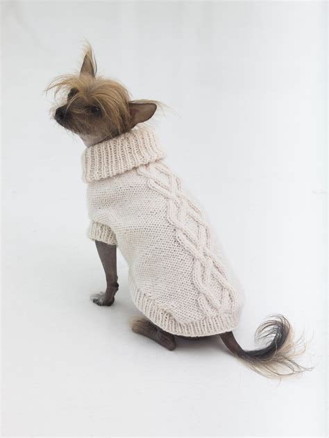 17 Beautiful Fall Dog Sweater Knitting Patterns - Handy Little Me