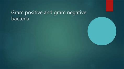 Gram Positive And Gram Negative Bacteria Lec 2pptx