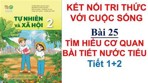 Tự Nhiên Và Xã Hội Lớp 2 Bài 25 Tìm Hiểu Cơ Quan Bài Tiết Nước Tiểu