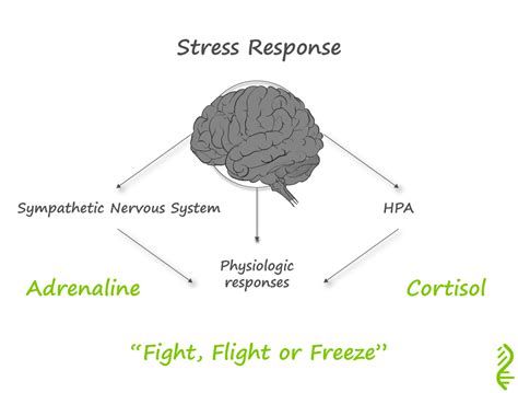 Category Cortisol