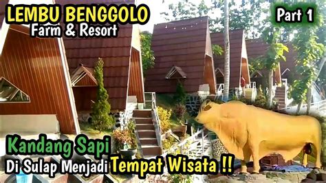 Wisata Lembu Benggolo Farm Resort Wisata Terbaru 2023 Banyumas