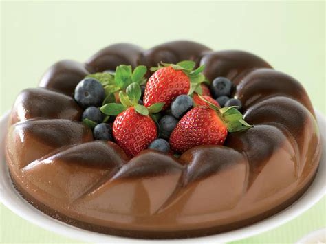 10 Best Chocolate Gelatin Dessert Recipes