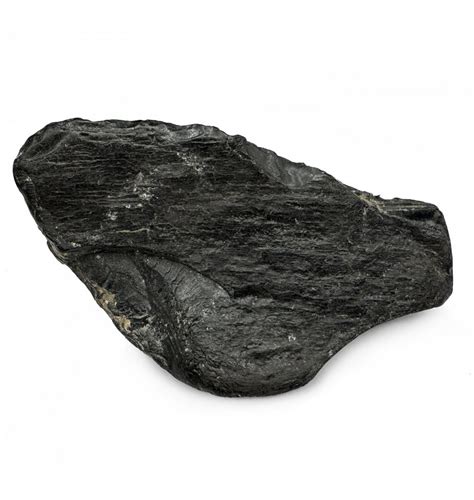 Fossils For Sale | Fossils-UK.com | 24 Grams Whitby Jet from Whitby ...