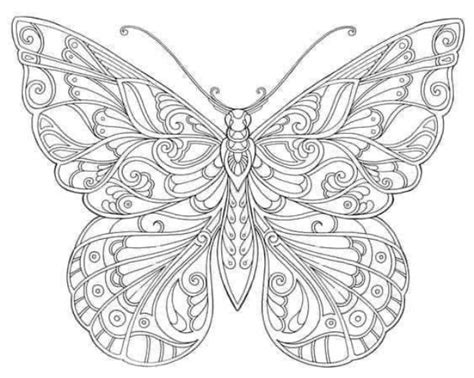 Pin By Becky Harpenau On Adventures In Cricut Butterfly Coloring Page