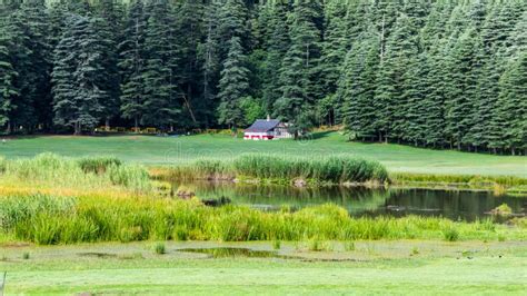 Famous Khajjiar Lake is Situated in Chamba District of Himachal Pradesh, India Stock Image ...