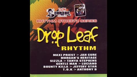 Drop Leaf Riddim Mix YouTube