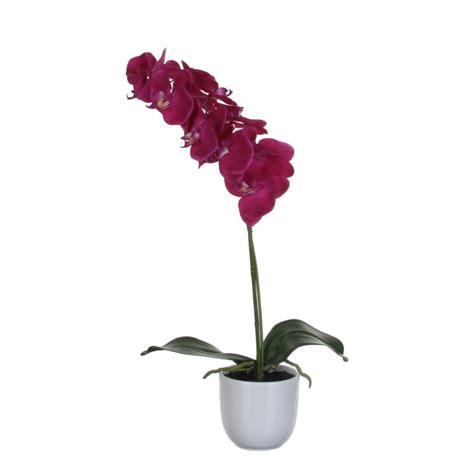 Phalaenopsis Artificiale Viola In Vaso Alt 60 Phalaenopsis Maisons Du