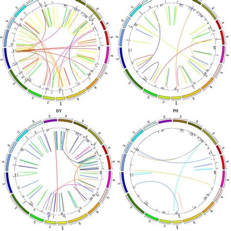 Distribution Of Identified Qtl Consensus Qtl Unique Related Gene Qtl