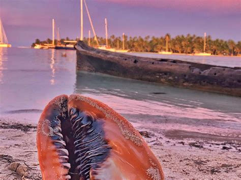 San Blas Beach Trip San Blas Islands Atualizado 2022 O Que Saber Antes De Ir Sobre O Que