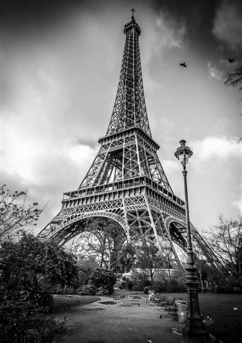 Photo Paris La Tour Eiffel Champ De Mars Image Art Noir Et Blanc