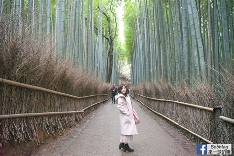 京都嵐山竹林小徑、超美竹林拍美照、搭人力車遊竹林 來一球叭噗