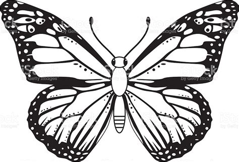 Butterfly Clip Art Black And White Clipart Best