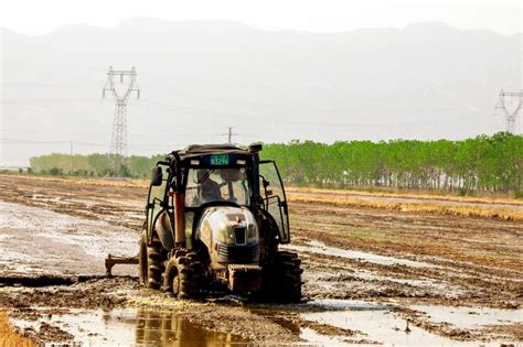 东辛夏种正当时 田间披“新绿”江苏省东辛农场有限公司