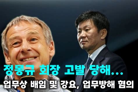 대한축구협회 정몽규 회장 배임 및 업무방해 혐의 등으로 고발당해