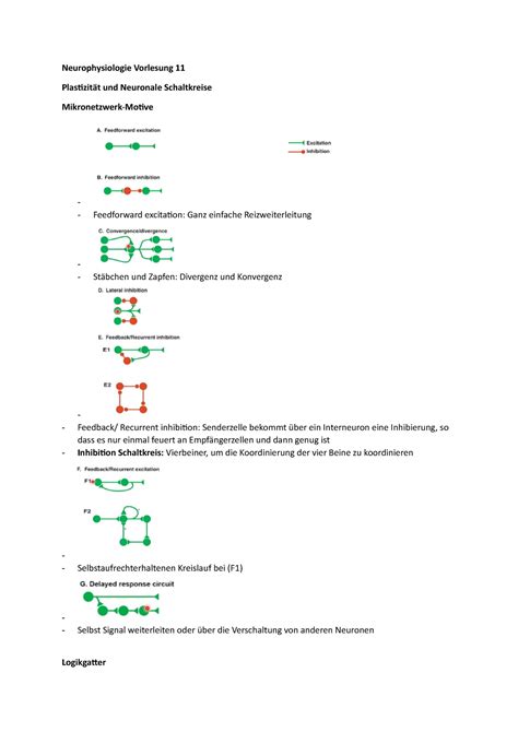 Vorlesung 11 Sommersemester Neurophysiologie Vorlesung 11