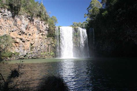 Dangar Falls - Basalt Block-Shaped Waterfall near Dorrigo