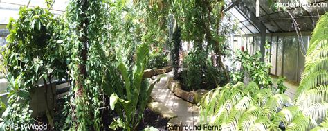 Inside The Greenhouses At Cambridge Botanic Gardens