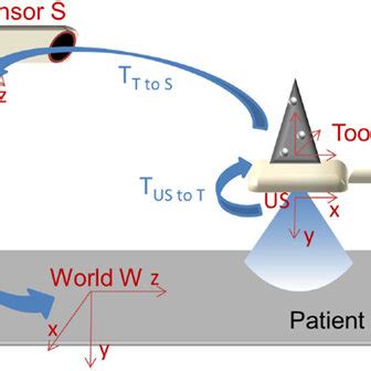 The Multi Cross Wire Water Phantom Schematic View From The Top Left