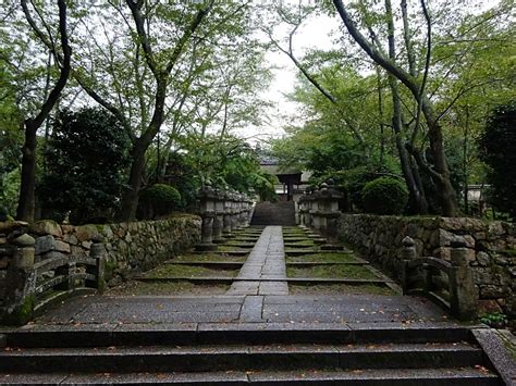 06 園城寺（三井寺）唐院 日本歴史旅行協会