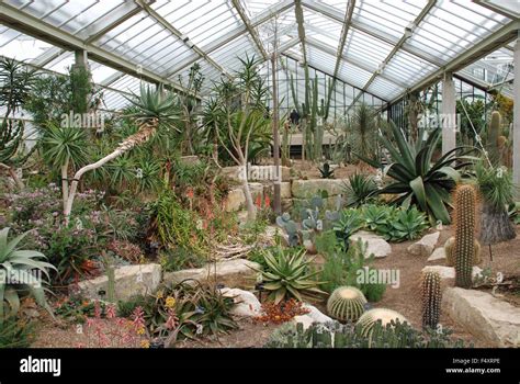 Princess Of Wales Diana Conservatory The Royal Botanical Gardens At Kew