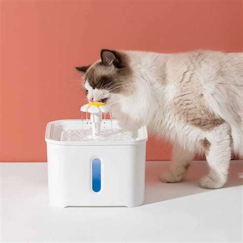 Promo Water Dispenser Tempat Minum Air Hewan Anjing Kucing 2 5 Liter