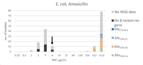 MIC Distribution Of E Coli N 162 Against Amoxicillin In The Test