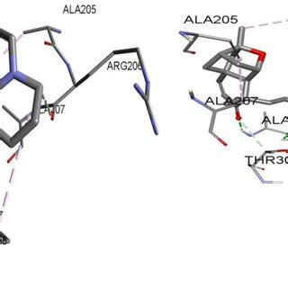 Binding Interactions Of A Complex And B Co Crystallized Ligand In The