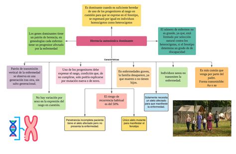 Mapa Conceptual De Herencia