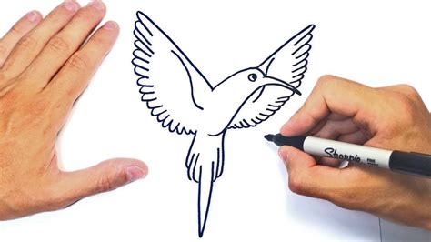 Cómo dibujar un Colibri Paso a Paso Dibujo de Colibri YouTube