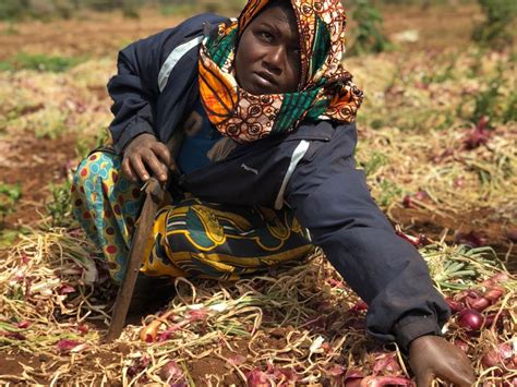 Red Onion Farmer Smithsonian Photo Contest Smithsonian Magazine