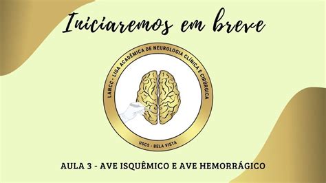 Jornada De Neurologia Lancc Uscs Sp Dia Avei E Aveh Youtube