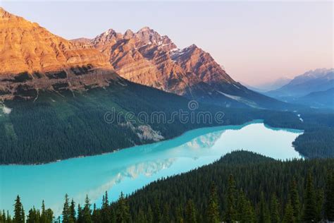 Alberta Jezioro Banff Canada Lokalizowa Park Narodowy Peyto Zdj Cie