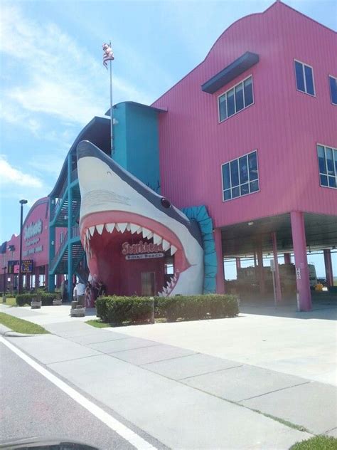 Biloxi Mississippi Sharks Head Souvenir Shop Always A Stop When On The Coast Vacation