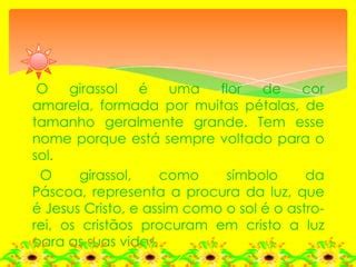 Girassol Significado Do Nome E Simbolismos Descubra O Mundo Do