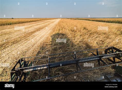 Harvesting Of Soybean Field With Combine Stock Photo Alamy