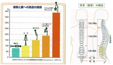 腰痛症、ぎっくり腰 佐賀県杵島郡の森外科医院｜鹿島市嬉野市武雄市