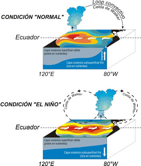 El Fenómeno De El Niño Armada De Chile